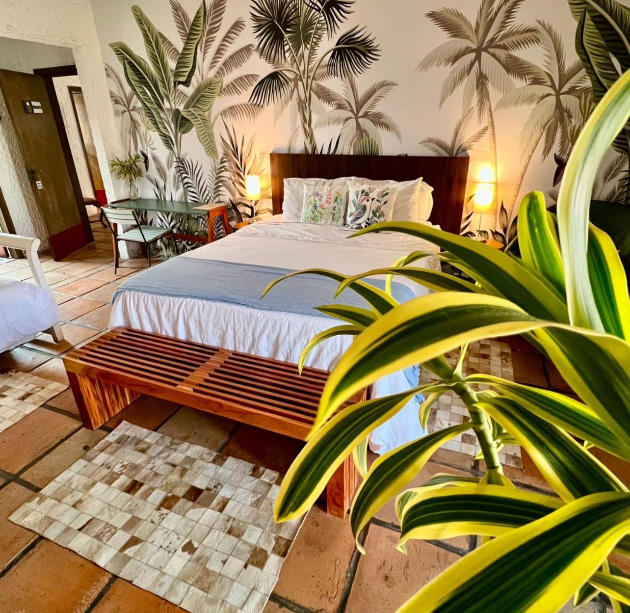 Hotel Casa Paradiso グァルジャー エクステリア 写真