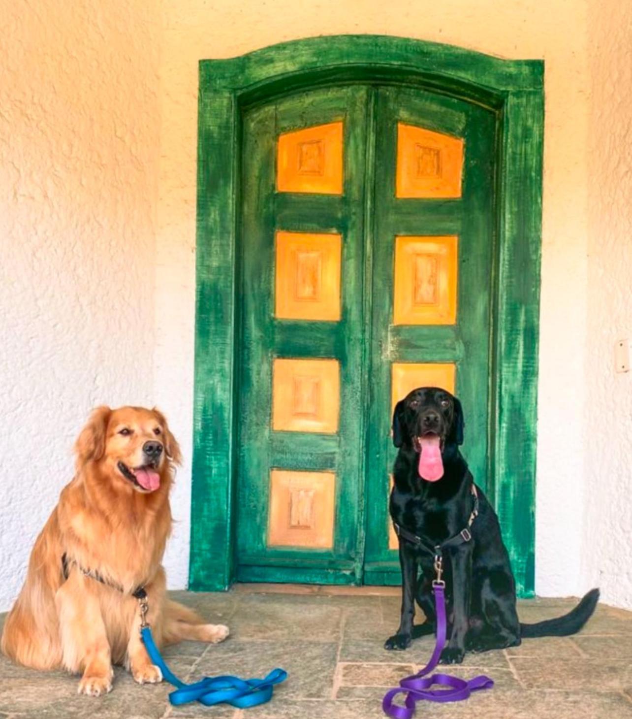 Hotel Casa Paradiso グァルジャー エクステリア 写真