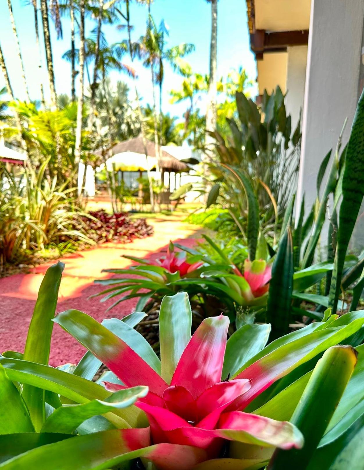 Hotel Casa Paradiso グァルジャー エクステリア 写真